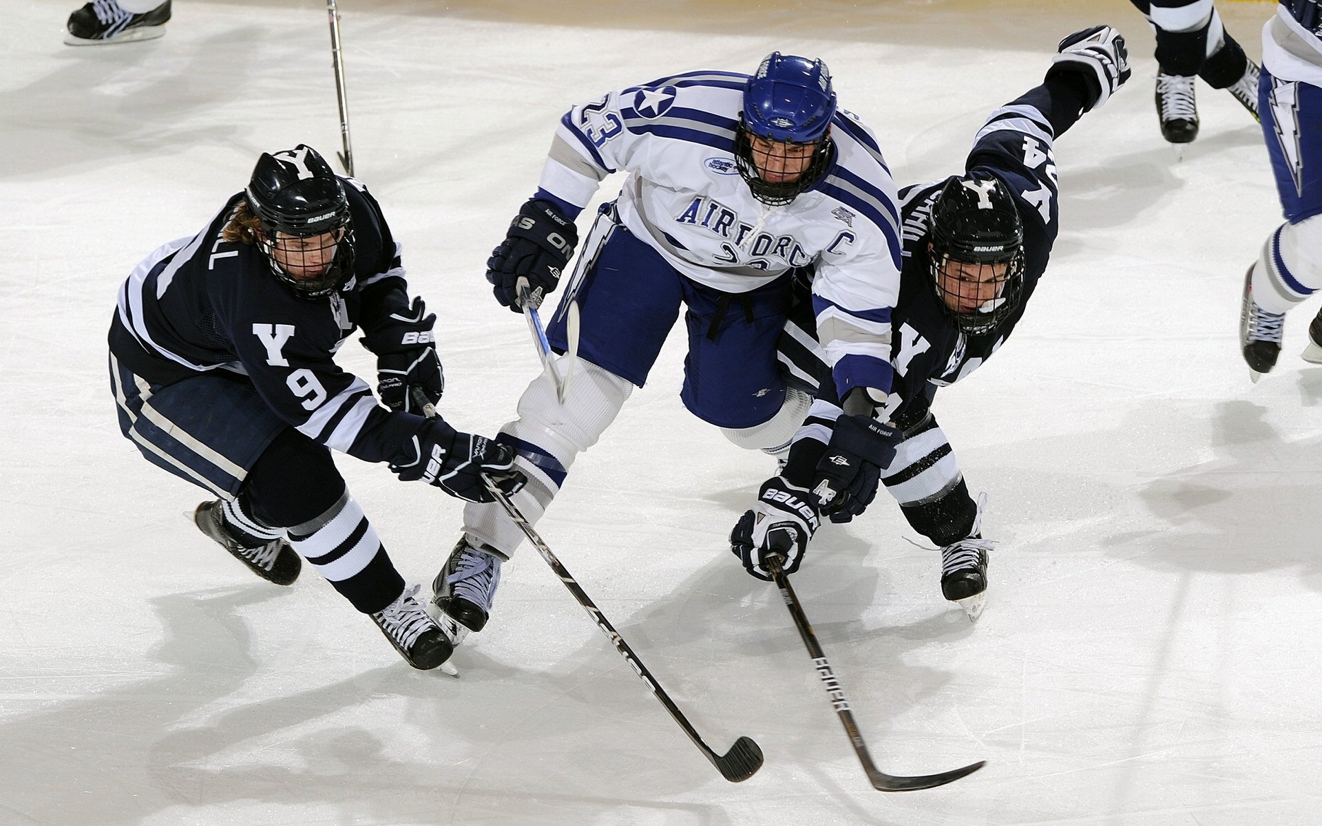 步行者逆转启示录，当戈贝尔在另一片战场接管